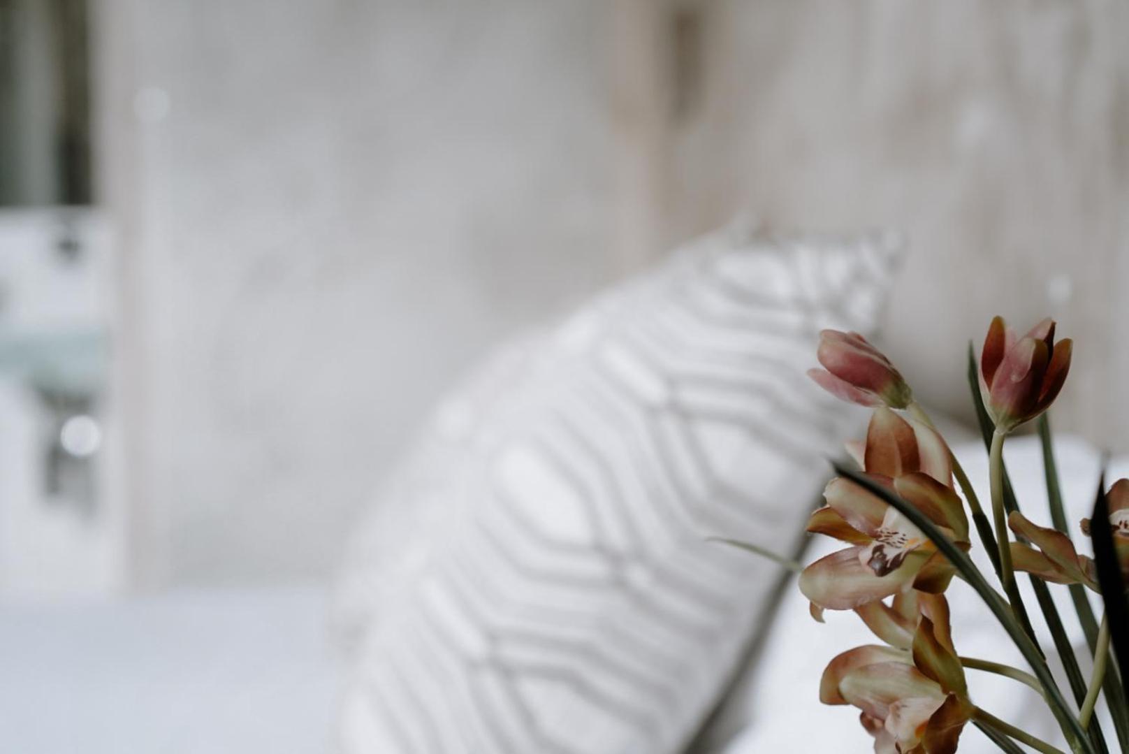 Ideal Sejour Cannes - Stylish Boutique Hotel With Quiet Garden ภายนอก รูปภาพ